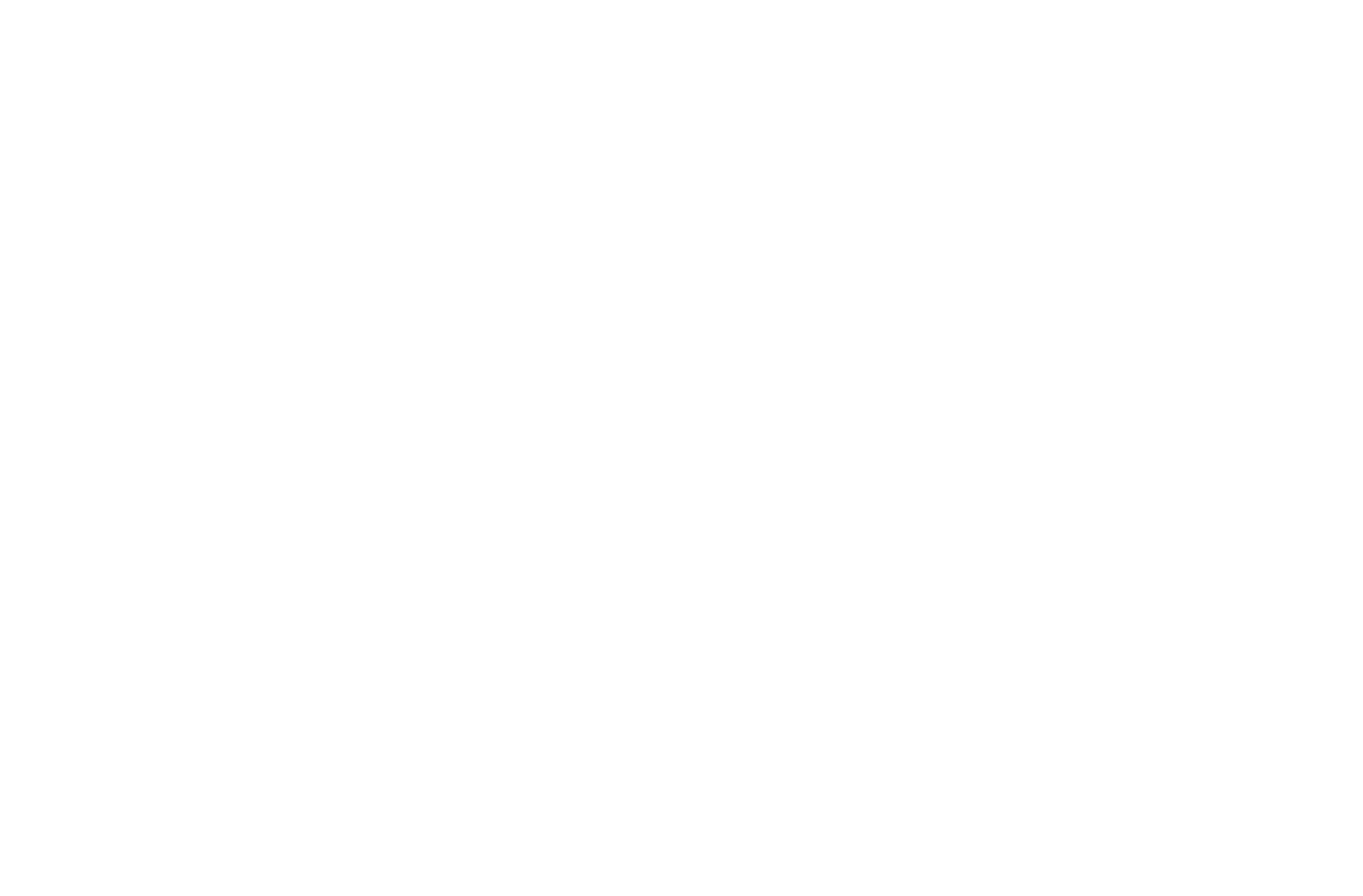 Puma Safety